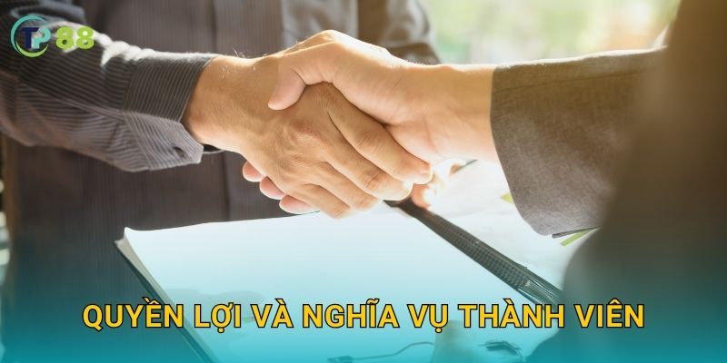 Điều khoản điều kiện TP88 và cam kết minh bạch toàn diện 2 Quyền lợi và nghĩa vụ thành viên
