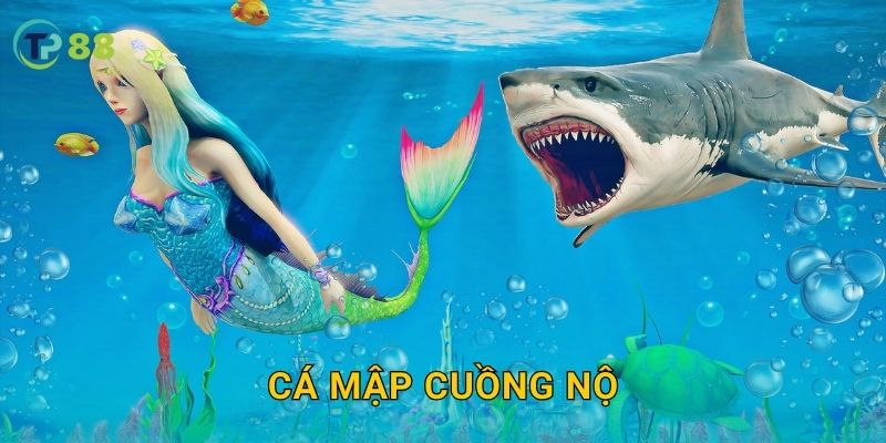 Cá Mập Cuồng Nộ TP88 và trải nghiệm săn cá đầy kịch tính